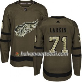 Miesten NHL Detroit Red Wings Pelipaita Dylan Larkin 71 Adidas 2017-2018 Camo Vihreä Authentic